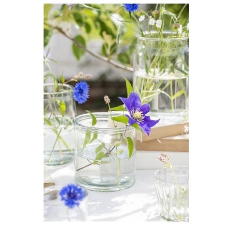 Clear Glass Flower Pot With Edge Small by Ib Laursen - Picture 4 of 4