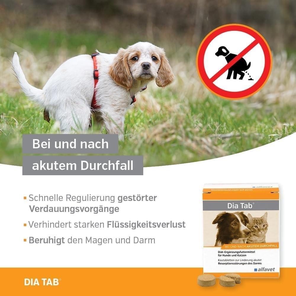 Bild 3 von 7