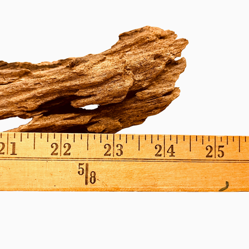 Driftwood Rustic Natural Cedar w/Bug Damage & Knots Air Plant Holder Decor 24.5" - Imagen 8 de 9