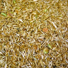 Gräser u. Kräutersaat,Pferdeweide,Fruktanarm,ohne Weidelgras-Kräuterwiese , 3 kg