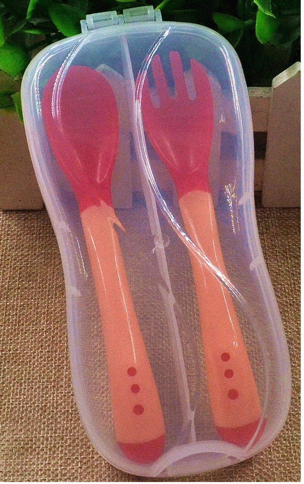 5 Roses & Veil Headband Ladies Girls Day of The Dead Halloween Fancy Accessories