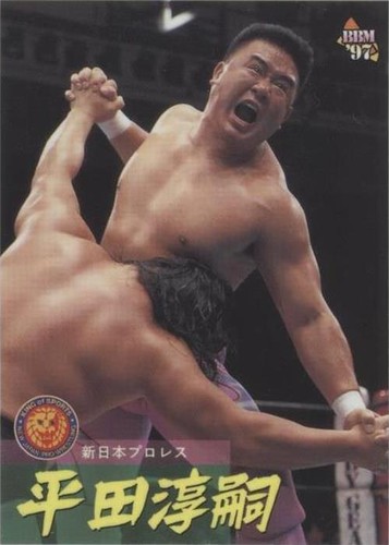 JUNJI HIRATA - 1995 BBM Pro-Wrestling Trading Card | eBay
