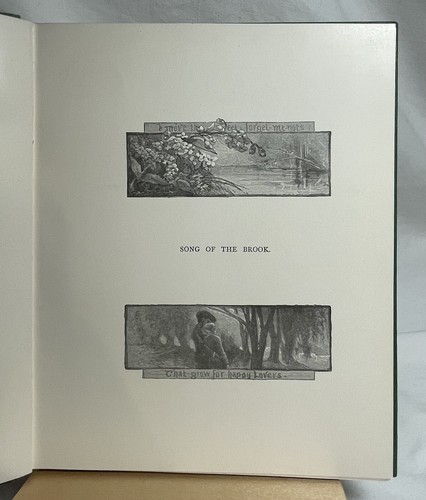 Decorative binding - Song of the Brook by Tennyson (ca. 1900) - Picture 8 of 12