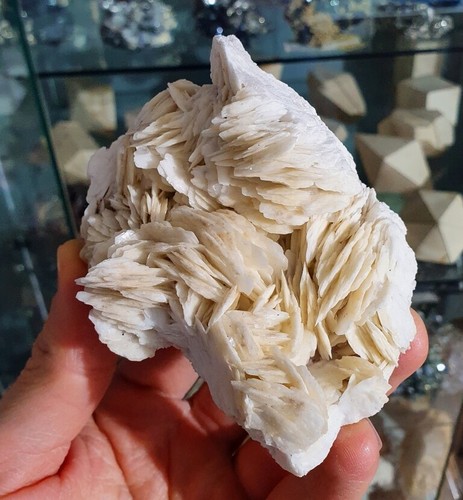 Baryte, Mine de Baugis, Saint-Bresson, Le Vigan, Gard (30), Occitanie, Fr - Picture 8 of 10