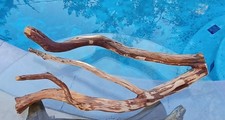 Large Driftwood Manzanita Aquascape Terariam Avery Snakes Fish 27" 16" 7"