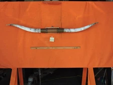 MOUNTED STEER BULL  HORNS  5' 6" tip to tip #414 BULL HORN LONGHORN