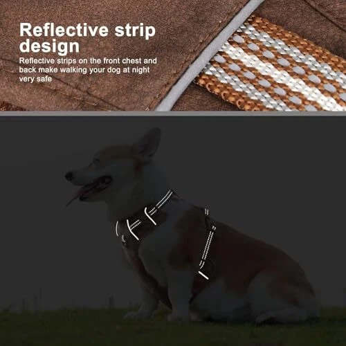 Dog Harness Medium Sized Dog,No Pull Pet M:Chest 26-33", Neck 19-27" Brown