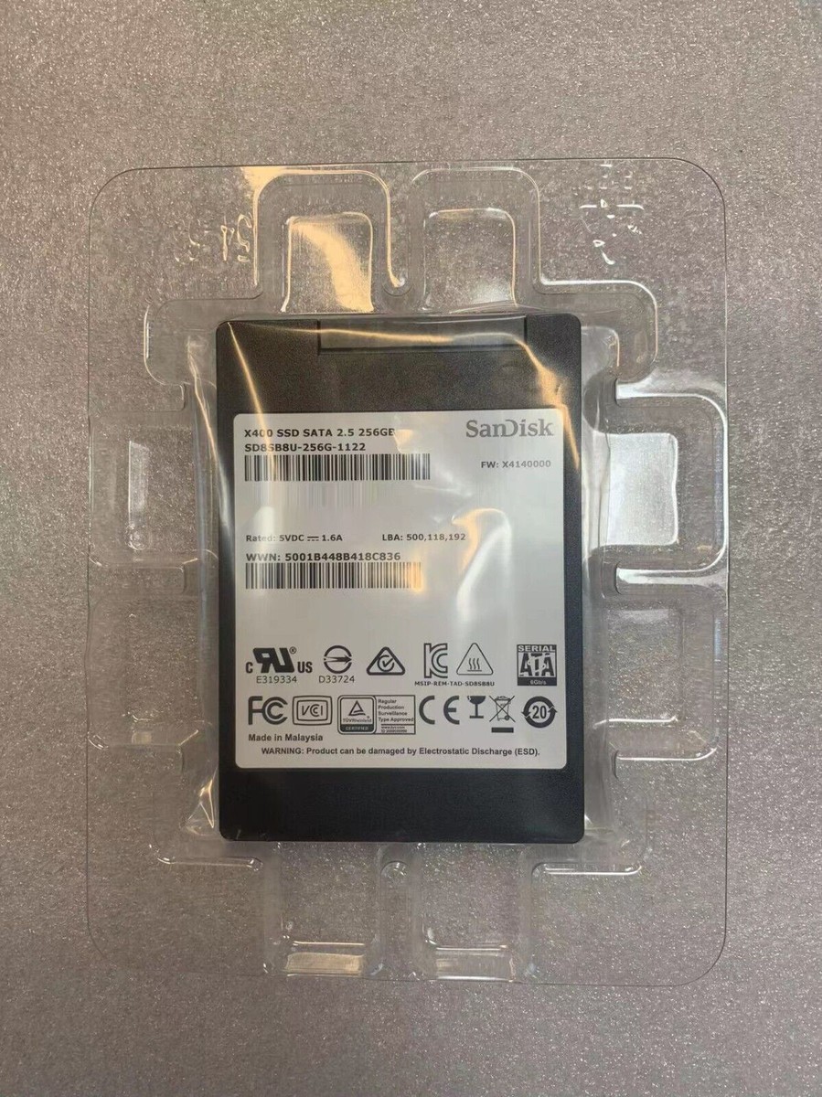 SanDisk 2.5