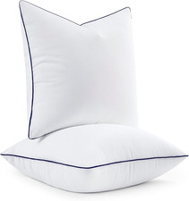 18x18 Pillow Inserts Pack of 2 Ultra Soft Throw Pillows for Sofa Bed