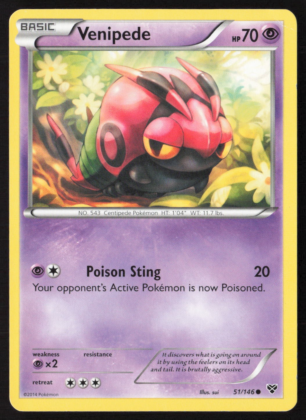 Venipede 51/146 Common XY Pokemon Moderately Played