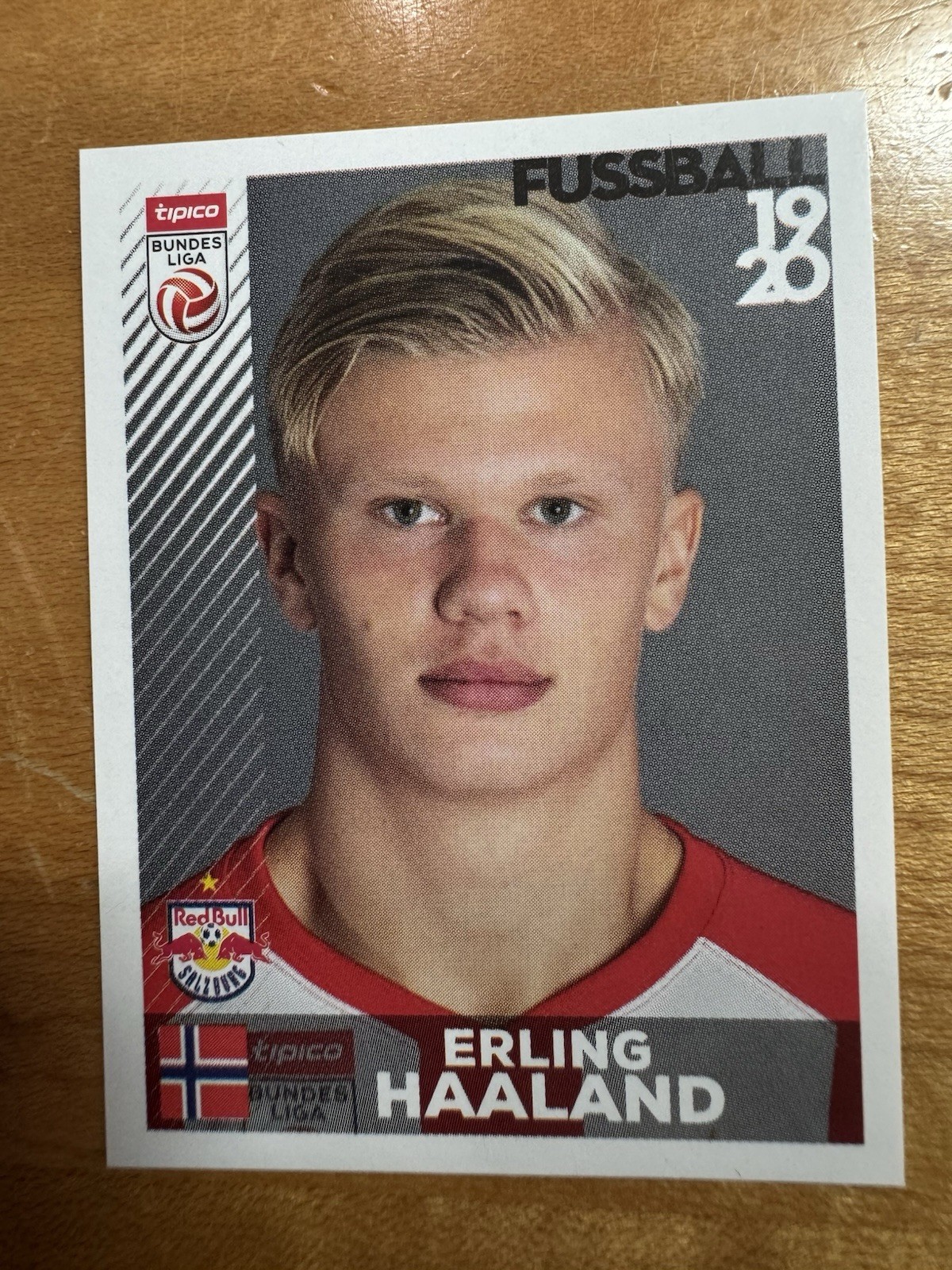 Erling Haaland 2019 Panini Fussball Bundesliga Stickers #32 Base