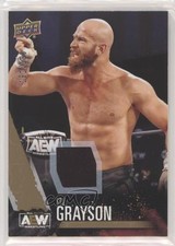2021 Upper Deck AEW All Elite Wrestling Gold Memorabilia /199 Stu Grayson 0nn8
