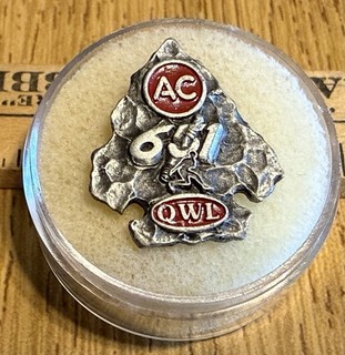 Vintage AC Sparkplug 651 QWL UAW Lodge 651 Arrow Head Pin
