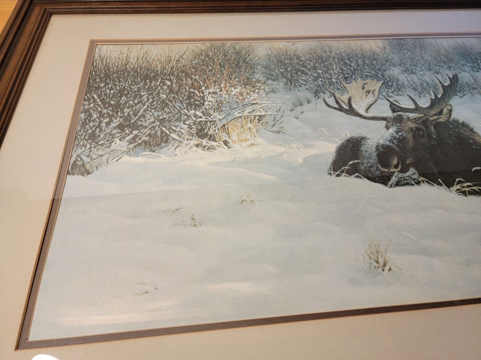Picture 7 of 12