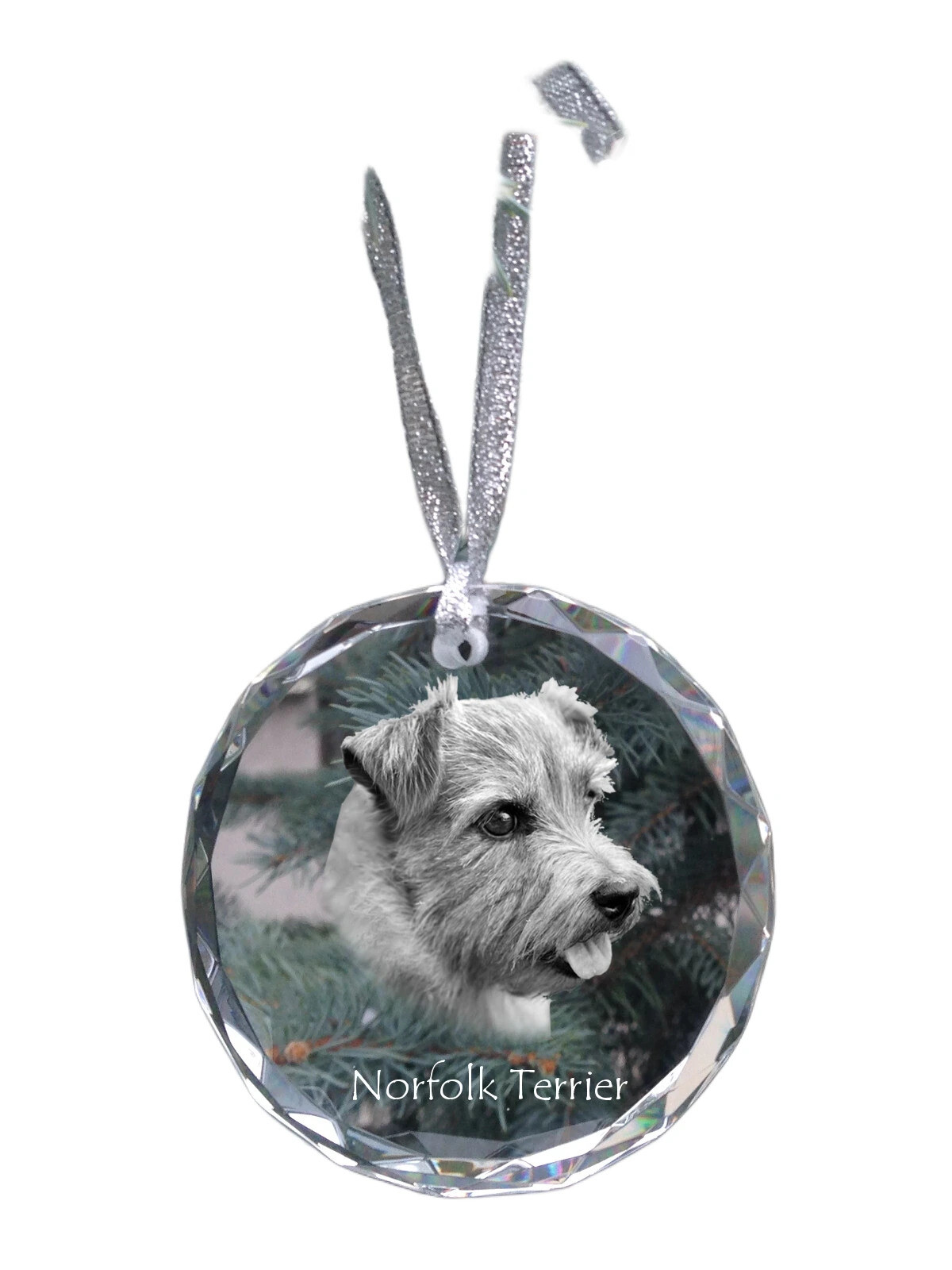 Norfolk Terrier - Crystal Ball With Photo, Dog Image In Crystal, Personalized