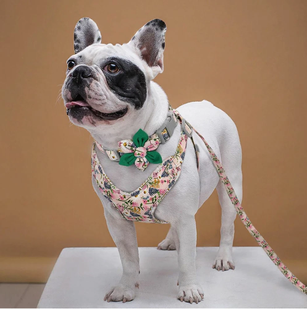 Dog Harness, Collar & Lead Summer Fun  Set