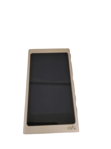SONY NW-A45HN Walkman Digital Music Player Gold Good | eBay