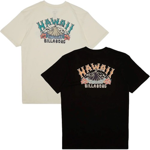 Billabong Tidal Research Short-Sleeve T-Shirt - Men's | eBay