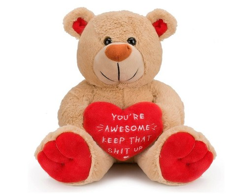 teddy bear for girlfriend valentines