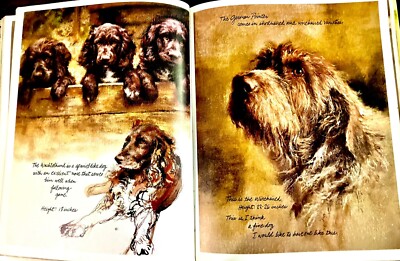 Rien Poortvliet - DOGS - Hardback - VERY GOOD | eBay