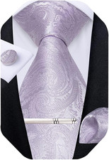 Paisley Ties for Men Silk Necktie and Pocket Square Cufflinks Tie Clip Set Woven