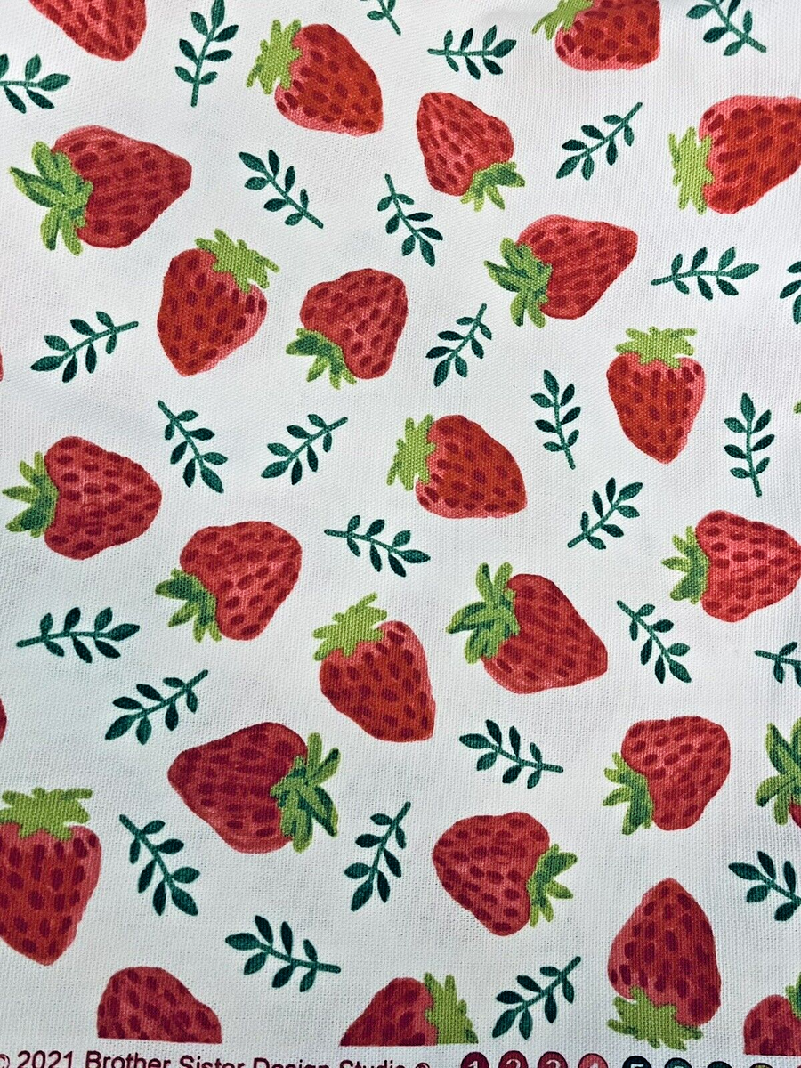 Novelty Large Strawberry Print White Brother & Sister Home Dec 44
