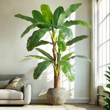 Extra-Tall Faux Banana Tree with Full Foliage