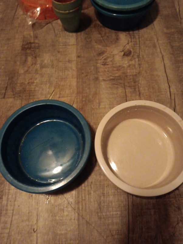 Dog Bowls