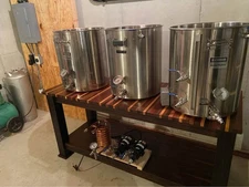 Complete HERMS Electric Brewery Pilot System Homebrew 30 Amp 30 Gallon Blichmann