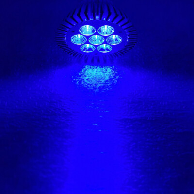 21W Royal Blue 450nm~455nm LED Lamp Spot Light Bulb Plant Aquarium PAR30 E26 E27