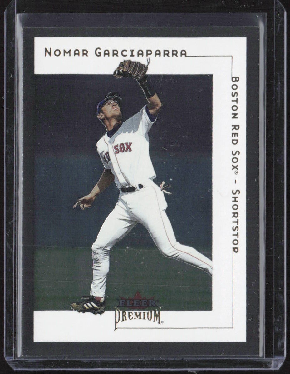 メジャーリーグ　カード　NOMAR GARCIAPARRA NOMAR GARCIAPARRA ~ 8x10 Color Photo Picture ~ 2005 Chicago
