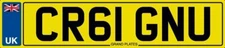 CRAIG NUMBER PLATE CRAIGS FEES PAID CR61 GNU PRIVATE REG CRAIGY CRAIGEY AND U?