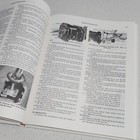 Foto 6 di 11