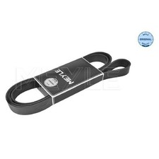 Keilrippenriemen für Renault Laguna DT0/1 2 BG0/1 KG0/1 3 BT0/1 KT0/1 | 2387643