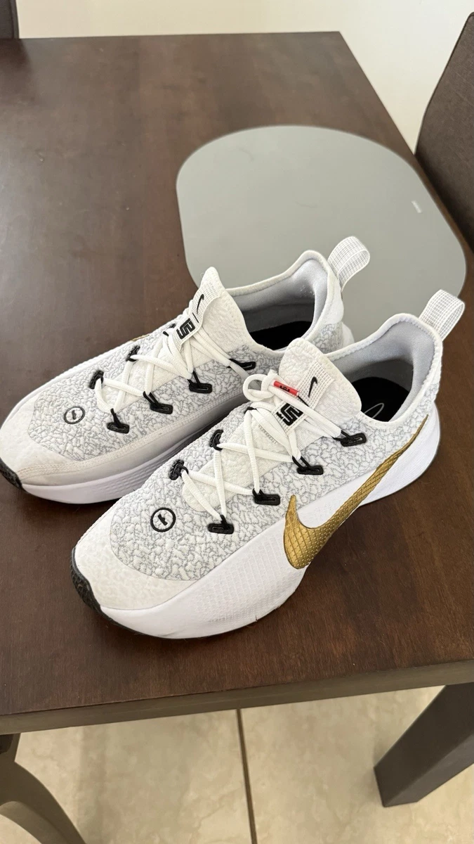 Nike LeBron TR 1 Wolf Grey/White/Bronze/Metallic Gold | eBay