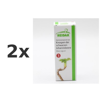 2x Gemmomazerat Ribes Nigrum Spray Set 30 ml - PZN 13306226