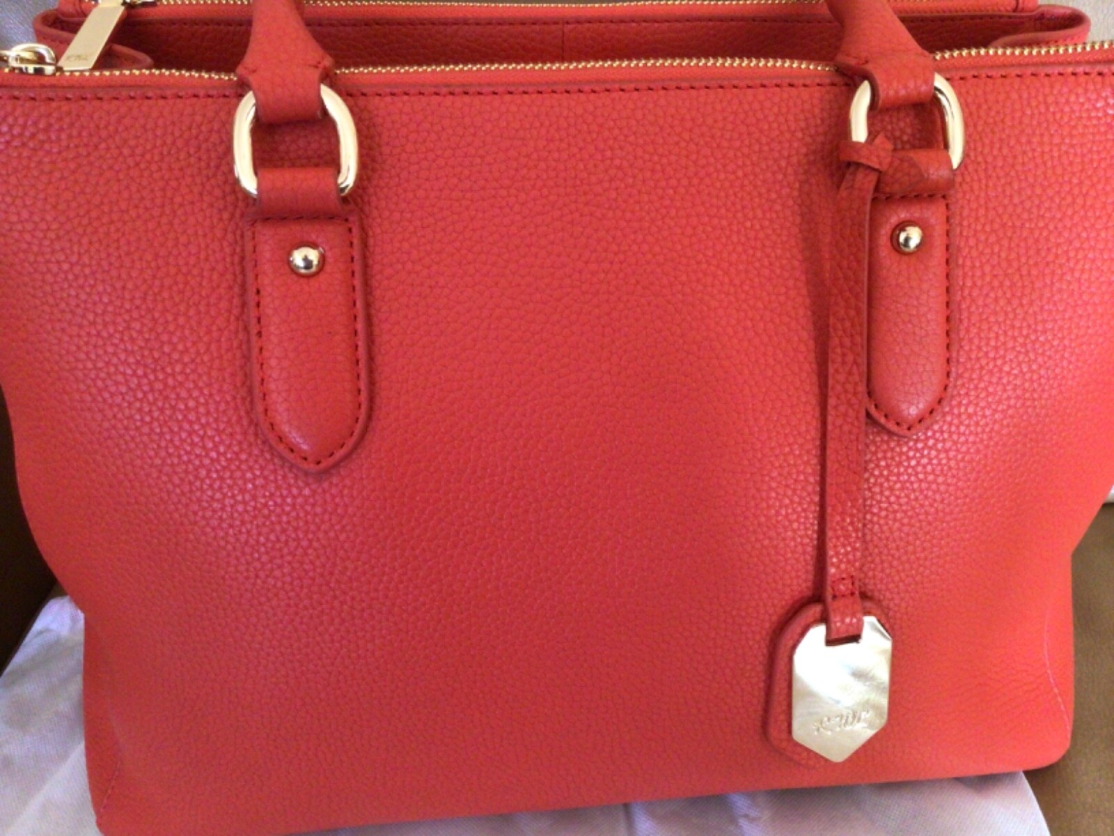 RUTH LANGSFORD Large Leather tote Bag croc finish CORAL + dust bag