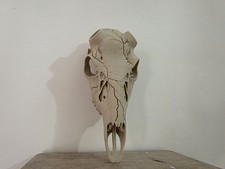 Antler Hanger Kit BONE COLOR incl hardware and wall brkt, antlers not incl