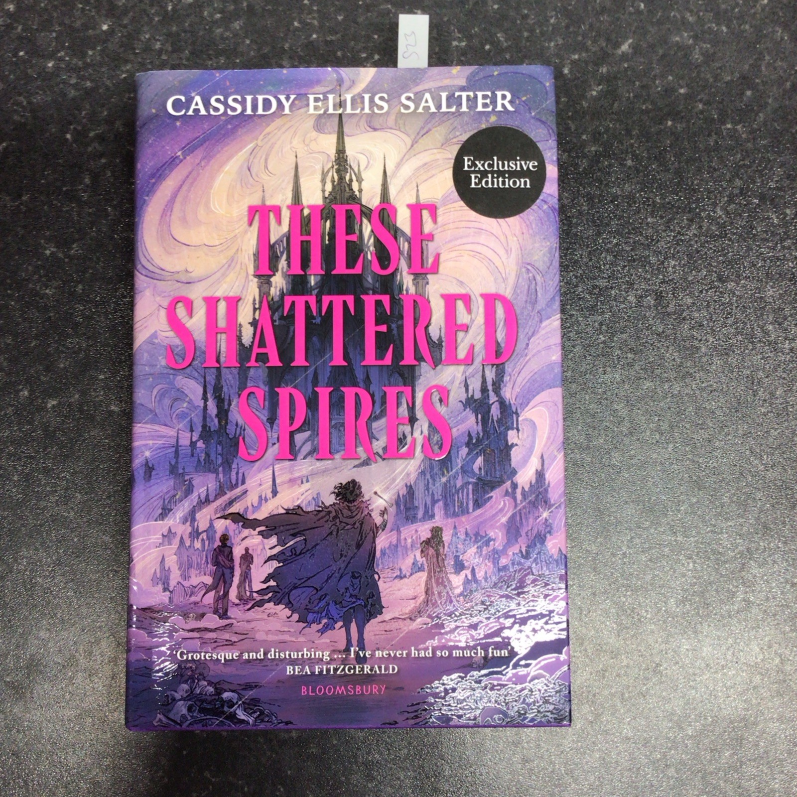 These Shattered Spires by Cassidy Ellis Salter (Hardback Book)