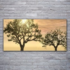 Print on Glass Wall art 120x60 Picture Image Trees Nature