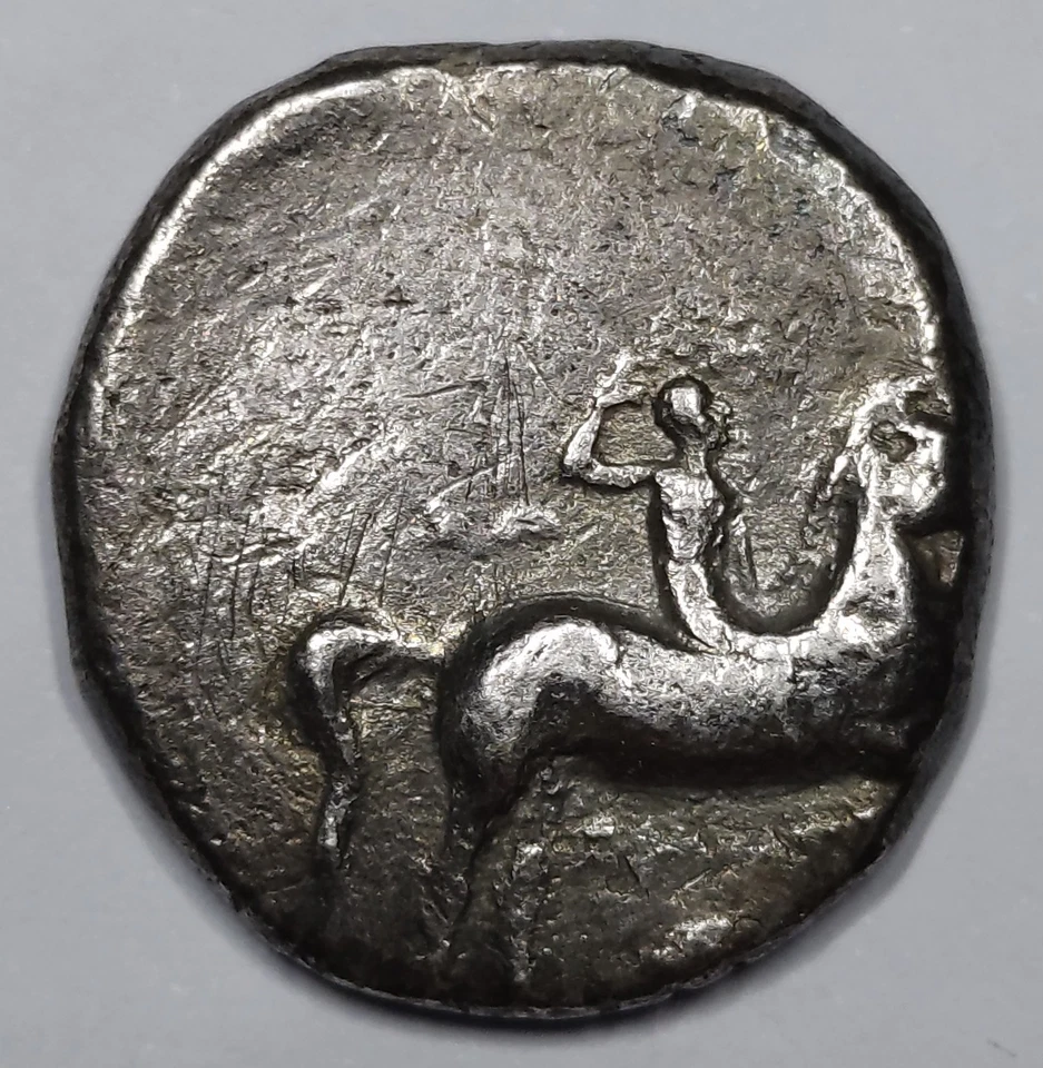 RARE R2 Grècque Argent, Calabre, Tarentum Didrachme / Nomos (272-240 BC) - Photo 4/4