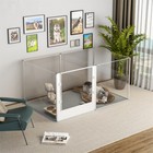 Bild 7 von 11