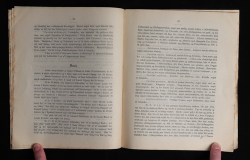 1871 Gaustad Mental Asylum Report Norway Danish - Picture 8 of 9
