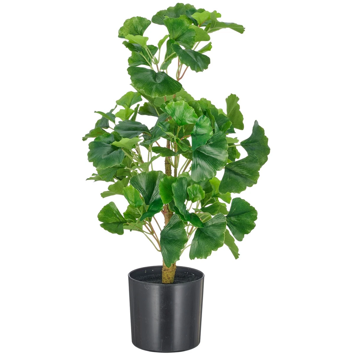 Knstliche Mini-Pflanzen online kaufen | eBay.de
