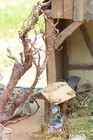 Bild 13 von 21