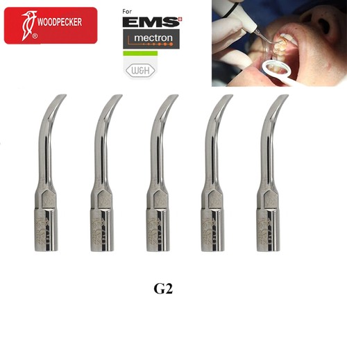 Woodpecker Dental Ultrasonic Scaler LED Handpiece HW-5L EMS Tips G1 G4 P1 P3 E1T - Picture 17 of 30