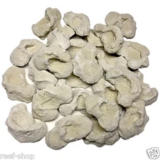 25 Cured Reef Rock Frag Plugs Live Coral Propagation Aragonite Coral Frag Rocks