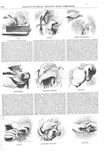 A Chapter on Hands and Feet - Their Expression and Meaning-1855 Historical Print