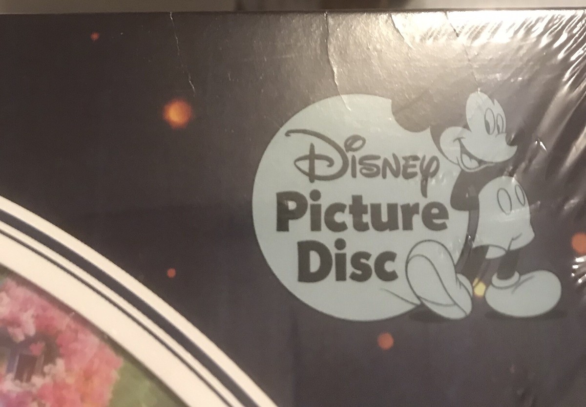 DISNEY ENCANTO SOUNDTRACK VINYL NEW LIMITED PICTURE LP! DON'T TALK
