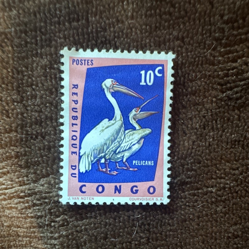 Congo-Brazzaville 10c Pelicans Birds Postage Stamp Mint Never Hinged (MNH)